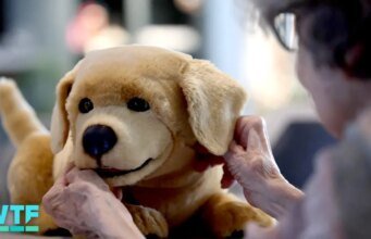 Video del perro robotic visita un centro de vida asistida