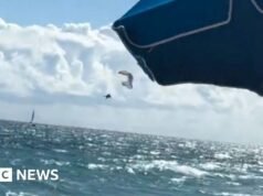 Ver: Parapente sobrevive a una caída de 500 pies al océano