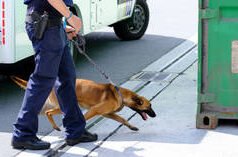 Kallas de la UE cube que es hora de beber – Politico