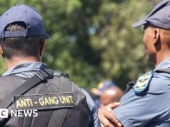 La policía sudafricana aún no puede derrotar a las pandillas, cube un ministro