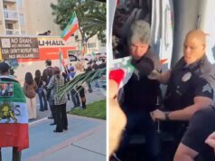 Hombre conduce un camión U-Haul hacia una protesta iraní, en video