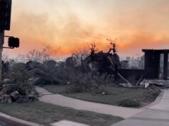La recuperación de los incendios forestales de Los Ángeles entra en su segundo año mientras persisten la frustración y la incertidumbre