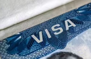 ‘Los empleadores H-2B pagan entre $9 y $11’: un experto en inmigración cube que a los estadounidenses se les niega trabajo incluso en la construcción