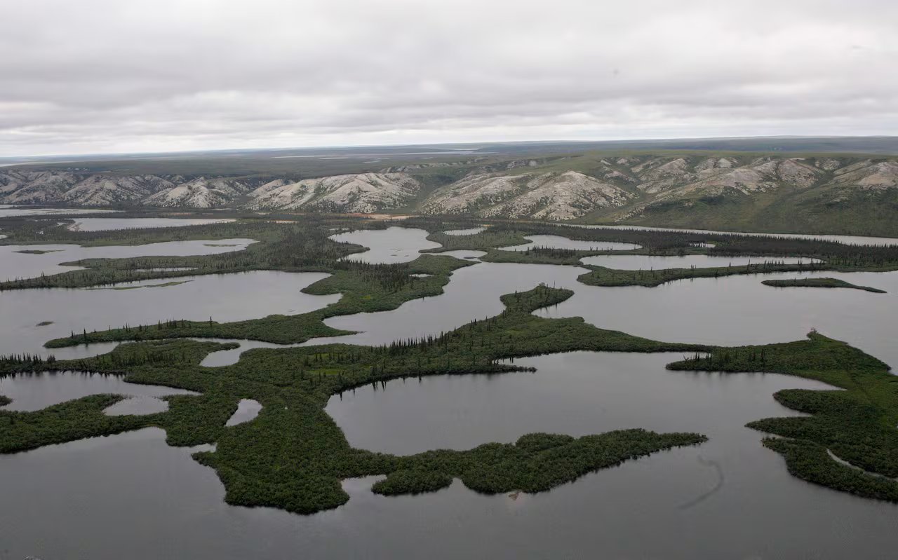 Hundir árboles en el Océano Ártico podría reducir las emisiones de carbono. ¿Pero vale la pena?