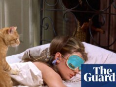 Casting perfecto: ¿es Orangey el gato cinematográfico más importante de todos los tiempos?
