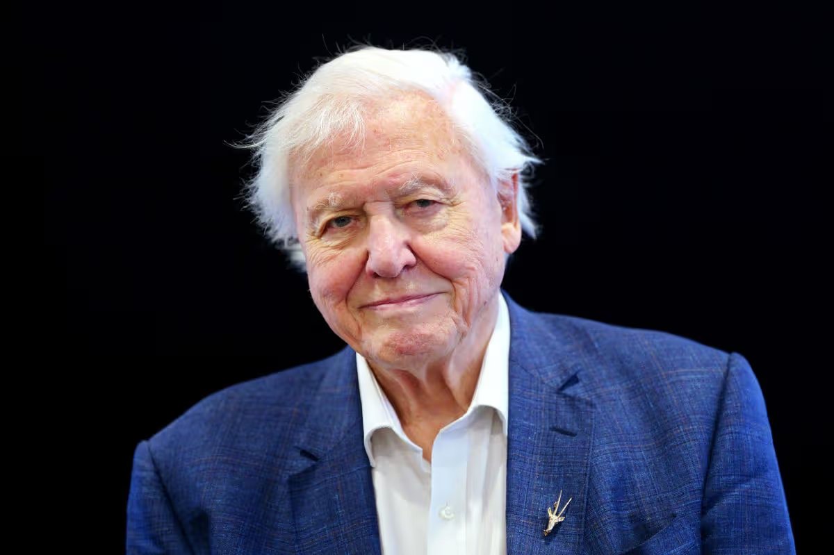 La BBC revela planes para honrar el cumpleaños número 100 de Sir David Attenborough en una actualización importante