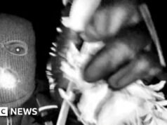 El ADN encontrado en el guante parece coincidir con el del video sospechoso de Nancy Guthrie