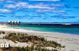 Un niño “valiente” de 13 años nada 4 km para salvar a su familia varada en la costa de Australia