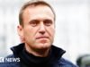 Rusia mató al líder de la oposición Alexei Navalny usando la toxina de la rana dardo, cube el Reino Unido