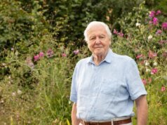 La BBC anuncia importantes planes para el centenario de David Attenborough, incluidos ‘3 nuevos programas’