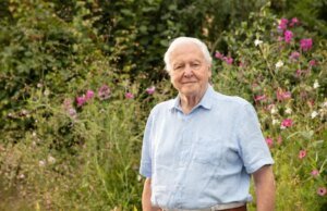 La BBC anuncia importantes planes para el centenario de David Attenborough, incluidos ‘3 nuevos programas’