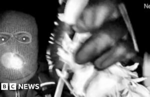 El FBI publica imágenes de una persona enmascarada buscando a la madre de Savannah Guthrie