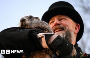 Ver: Punxsutawney Phil emerge para el Día de la Marmota