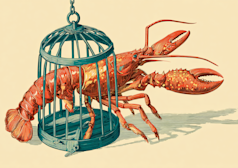 Google toma medidas drásticas contra el ‘uso malicioso’ de Antigravity, excluyendo a los usuarios de OpenClaw en una amplia medida de cumplimiento de ToS