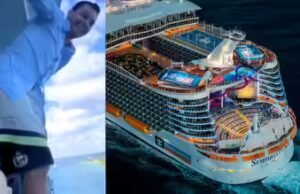 Pasajero borracho que saltó 100 pies desde un crucero relata el impacto “related al cemento” en aguas infestadas de tiburones