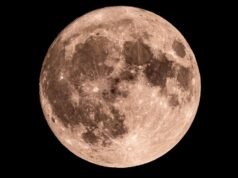 Fase lunar hoy: cómo se verá la Luna el 20 de febrero