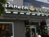 La violación de datos de Panera Bread expone a 5,1 millones de clientes