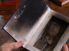 Una celebración de los libros falsos