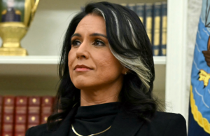 Gabbard pone fin al grupo de trabajo que tenía como objetivo reformar la recopilación de inteligencia después de menos de un año