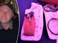 Pasajero vegano horrorizado después de que la aerolínea le sirviera un sándwich “podrido” en el vuelo: “La peor comida que he probado en mi vida”